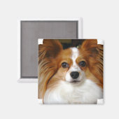 Aimant Papillon Carré (Recto/Verso)