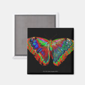 Aimant Papillon coloré sur fond noir 3 (Recto/Verso)