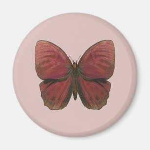 Aimant Papillon Coq Rouge