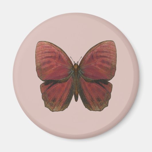 Aimant Papillon Coq Rouge (Devant)