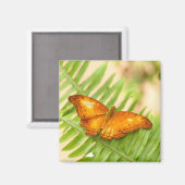 Aimant Papillon de croiseur orange (Recto/Verso)