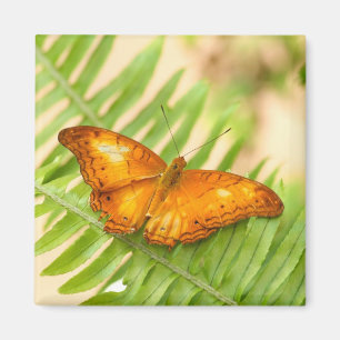 Aimant Papillon de croiseur orange