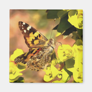 Aimant Papillon de la Dame peint sur Myrtle Spurge