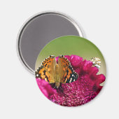 Aimant Papillon de la Dame peinte (Recto/Verso)