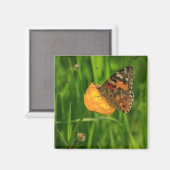 Aimant Papillon de la Dame peinte (Recto/Verso)