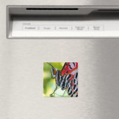 Aimant Papillon de la Dame peinte (In Situ (Lave-vaisselle))