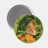 Aimant Papillon de la grande friture (Recto/Verso)