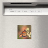 Aimant Papillon de la reine sur une branche (In Situ (Lave-vaisselle))