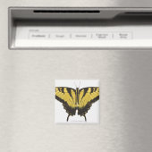 Aimant Papillon de l'épaisse queue de tigre occidentale (In Situ (Lave-vaisselle))