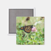 Aimant Papillon de monarque (Recto/Verso)