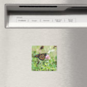 Aimant Papillon de monarque (In Situ (Lave-vaisselle))
