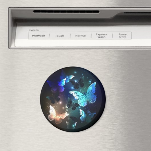 Aimant Papillon de nuit (In Situ (Lave-vaisselle))