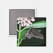 Aimant Papillon de nuit noir Swallowtail à Shenandoah (Recto/Verso)