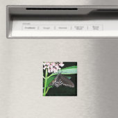 Aimant Papillon de nuit noir Swallowtail à Shenandoah (In Situ (Lave-vaisselle))