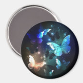 Aimant Papillon de nuit voltigeant (Recto/Verso)