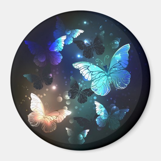 Aimant Papillon de nuit voltigeant (Devant)