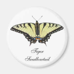 Aimant Papillon de queue de tigre