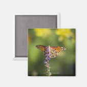 Aimant Papillon en fleur sauvage (Recto/Verso)