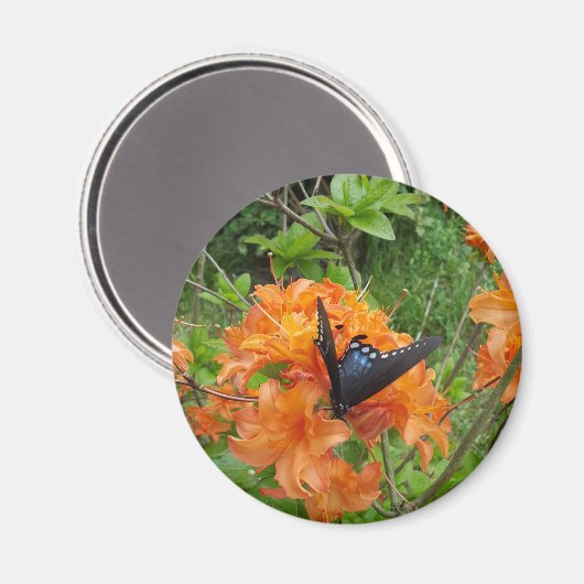 Aimant papillon et azalée (Recto/Verso)