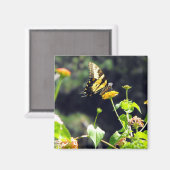 Aimant Papillon jaune - Fermer (Recto/Verso)