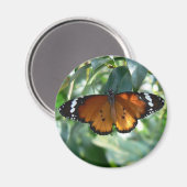 Aimant Papillon monarque (Recto/Verso)