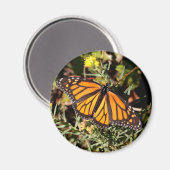 Aimant Papillon monarque (Recto/Verso)