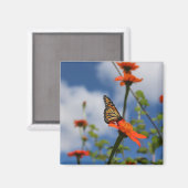 Aimant papillon monarque (Recto/Verso)