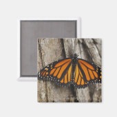 Aimant Papillon monarque (Recto/Verso)