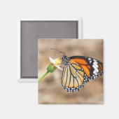 Aimant Papillon monarque (Recto/Verso)