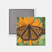 Aimant Papillon monarque (Danaus plexippus) en pot (Recto/Verso)