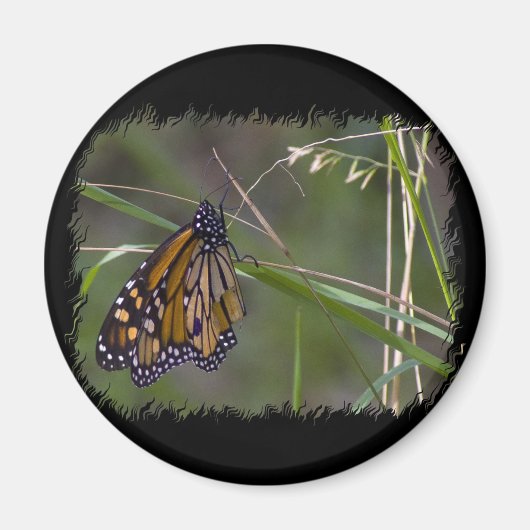 Aimant Papillon monarque dans l'herbe (Devant)