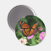 Aimant Papillon Monarque sur Fleur Lantana (Recto/Verso)