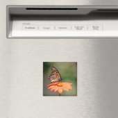 Aimant Papillon Monarque sur une fleur d'orange (In Situ (Lave-vaisselle))