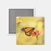 Aimant Papillon Monarque sur Zinnia (Recto/Verso)