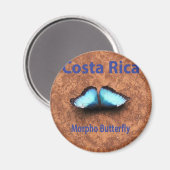 Aimant Papillon morpho Costa Rica (Recto/Verso)