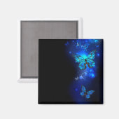Aimant Papillon Morpho sur fond sombre (Recto/Verso)