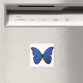 Aimant Papillon Nestira Marpho (In Situ (Lave-vaisselle))