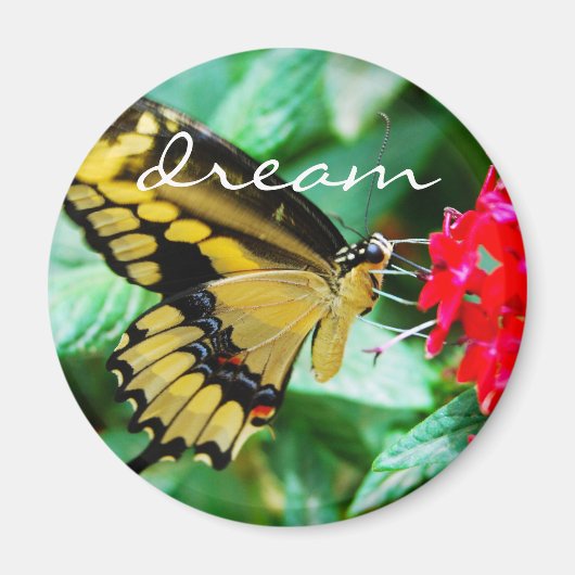 Aimant Papillon noir jaune photo rêve citation script (Devant)