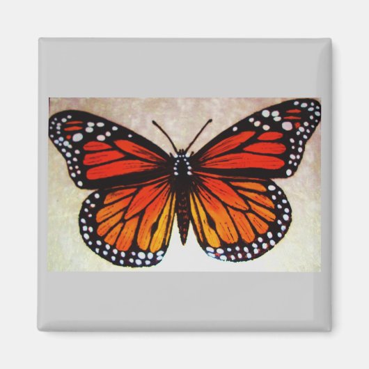 Aimant papillon orange (Devant)