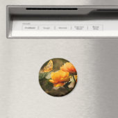 Aimant Papillon orange et fleurs (In Situ (Lave-vaisselle))