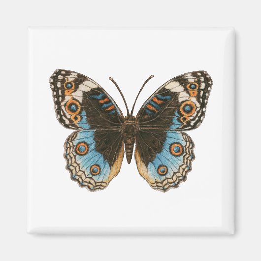 Aimant Papillon Pansy Bleu (Devant)