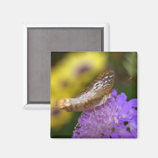 Aimant Papillon paon blanc sur fleur violette (Recto/Verso)