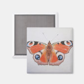 Aimant Papillon Peacock 2012 (Recto/Verso)