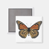 Aimant Papillon Plexippus Danaus (Recto/Verso)