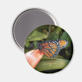 Aimant papillon Queen (Recto/Verso)
