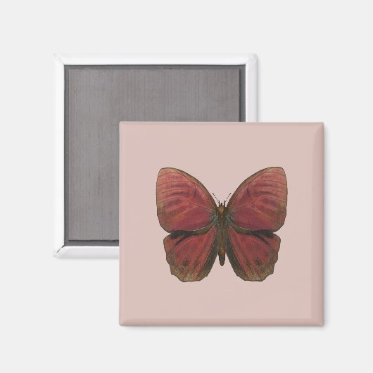 Aimant Papillon rouge coq (Recto/Verso)