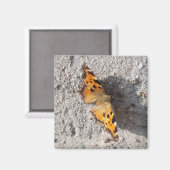 Aimant Papillon sous le soleil (Recto/Verso)