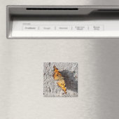 Aimant Papillon sous le soleil (In Situ (Lave-vaisselle))