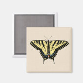 Aimant Papillon Southwestern jaune Swallowtail (Recto/Verso)