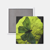 Aimant Papillon sur feuille (Recto/Verso)